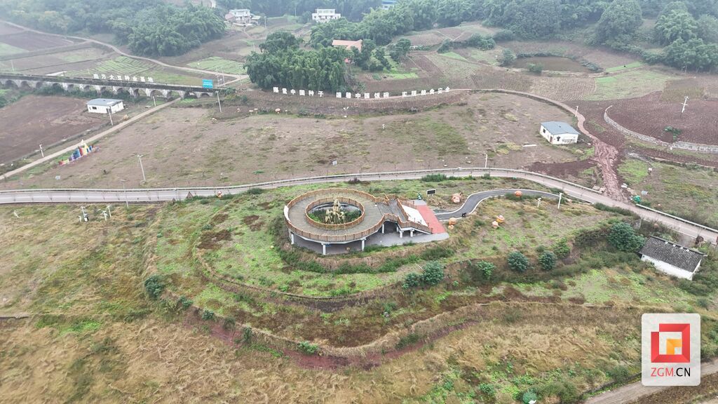 永安鎮大豆種業基地豐收喜人，2000畝油菜輪種續寫豐收篇章