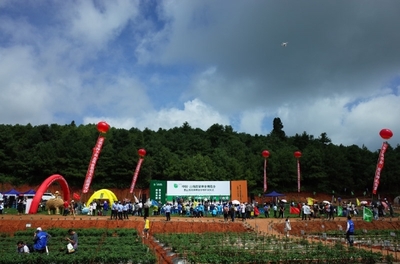 2019云南蔬菜種業博覽會開幕，推動種業創新與蔬菜產業升級